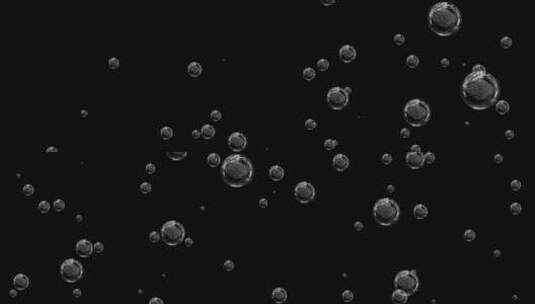 中医养生黑枸杞气泡粒子视频素材带通道高清在线视频素材下载