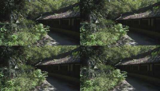 绍兴柯岩风景区罗汉院风景高清在线视频素材下载