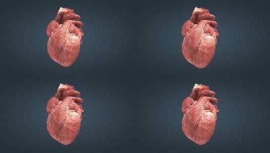 三维心脏工作原理人体器官动画02高清在线视频素材下载