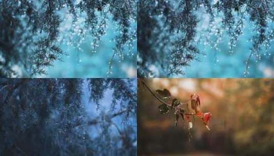 春雨下雨雨天空境高清在线视频素材下载