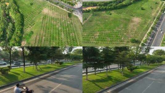 城市道路绿化道路景观航拍阳光草坪车流道路高清在线视频素材下载