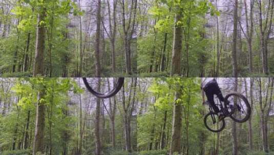 骑山地自行车穿越林地的人高清在线视频素材下载