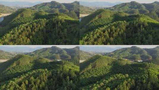 无人机航拍森林景观高清在线视频素材下载