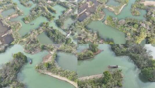 杭州西溪湿地高清在线视频素材下载