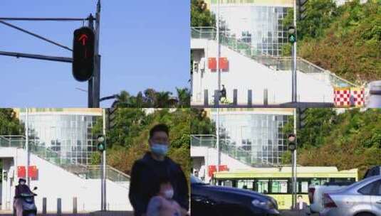广州天河区植物园红绿灯人行道合集高清在线视频素材下载