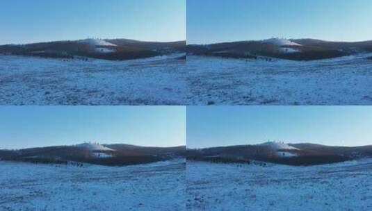 大兴安岭冬天低温雾凇雪景高清在线视频素材下载