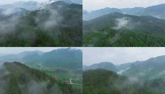 航拍山间森林云雾4k高清在线视频素材下载