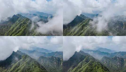 森林雾气上升高清在线视频素材下载