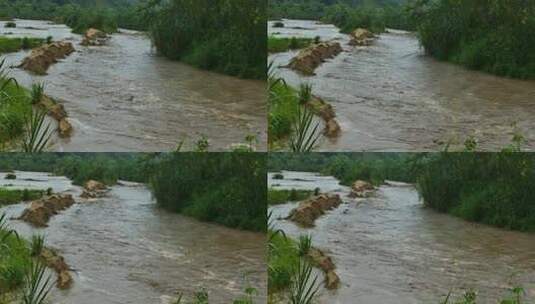 自然灾害、水灾、暴雨高清在线视频素材下载