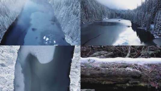 寒冷的冬天湖泊森林云雾雪景雪松合集高清在线视频素材下载