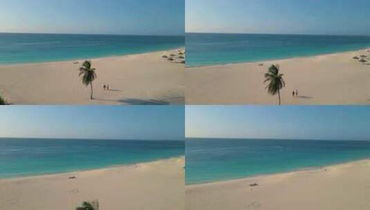 棕榈滩阿鲁巴岛加勒比白色长沙海滩与棕榈树在阿鲁巴岛男人和女人放松高清在线视频素材下载