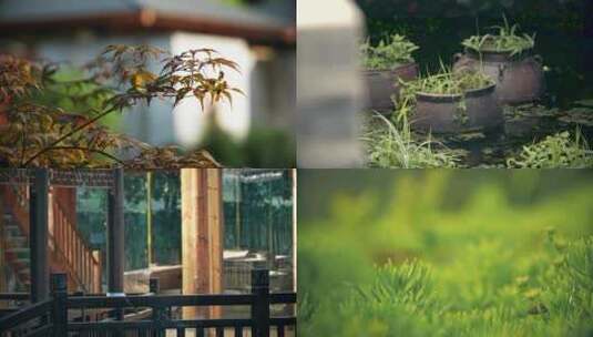 中式庭院园林植物高清在线视频素材下载