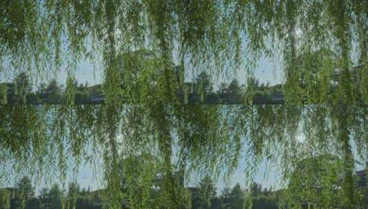 重庆公园夏日阳光蓝天空镜高清在线视频素材下载