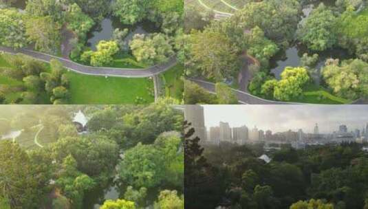 深圳人民公园航拍城市公园绿化园林风光高清在线视频素材下载