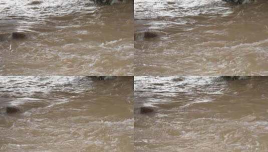 河流 流水 水面 奔流 江河 波涛 波浪翻滚高清在线视频素材下载