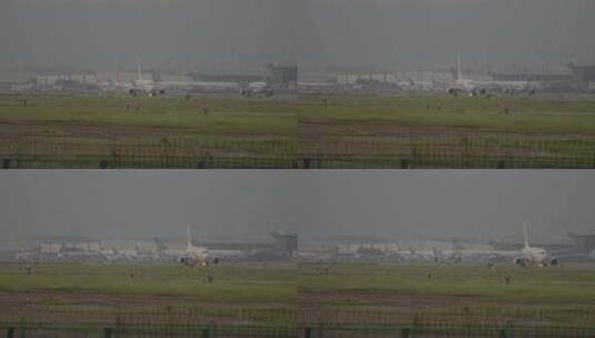2023广州白云国际机场飞机起降高清在线视频素材下载