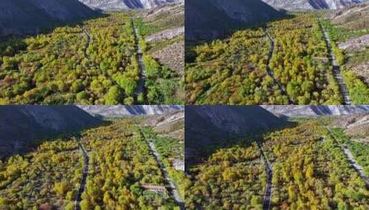 秋天的环山公路高清在线视频素材下载
