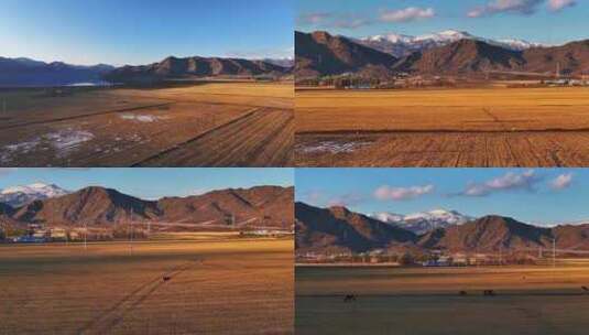 4K航拍新疆麦田高原雪山高清在线视频素材下载