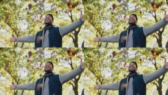 快乐，树叶和一个人在秋天的自然，自由和庆高清在线视频素材下载