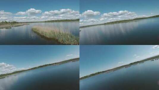 无人机在芦苇的湖面上快速的飞行高清在线视频素材下载