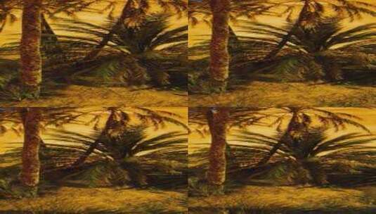 沙漠中的棕榈绿洲高清在线视频素材下载