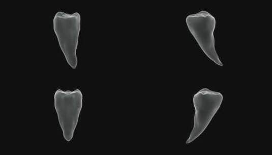 牙齿全息图表示屏幕高清在线视频素材下载