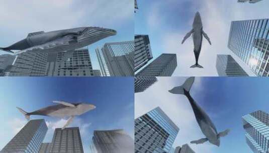 鲸鱼在城市中遨游畅想高清在线视频素材下载