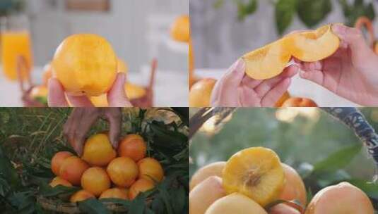 黄油桃 黄金油桃 蒙阴黄油桃高清在线视频素材下载
