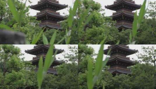 日本东京，日本神社，寺庙高清在线视频素材下载