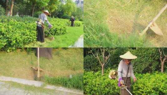 除草工人 公园割草 园艺工人 除草机高清在线视频素材下载