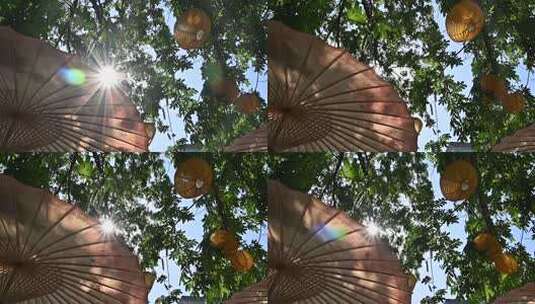 阳光透过树叶空镜高清在线视频素材下载