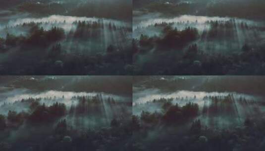 森林湖泊云海山川山脉云雾生态青山绿水高清在线视频素材下载