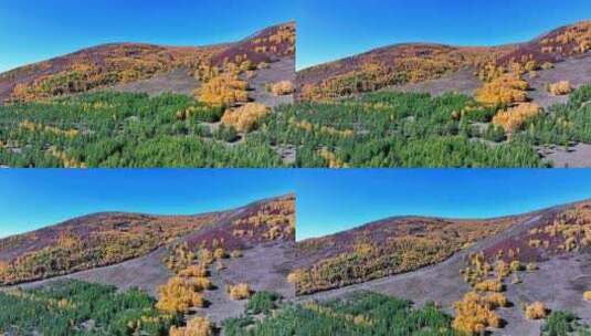 秋天五彩的植被山脉高清在线视频素材下载