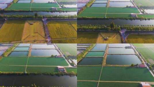 浙江省杭州市钱塘区大江东生态农场高清在线视频素材下载