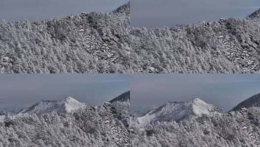 4K秦岭朱雀国家森林公园（冰晶顶）雪景航拍高清在线视频素材下载