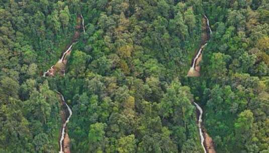 云南西双版纳原始森林航拍高清在线视频素材下载