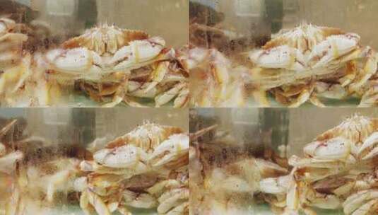 水产市场水缸里的海鲜螃蟹高清在线视频素材下载