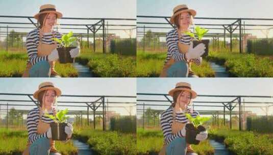 快乐的女农民园丁照顾玉米花植物高清在线视频素材下载
