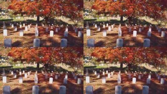 国家公墓墓地特写高清在线视频素材下载