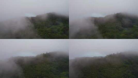 树林上空云雾延时摄影高清在线视频素材下载