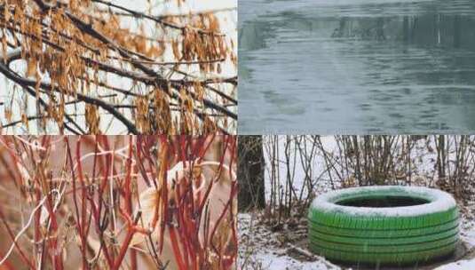 冬日下雪小景树叶绿化枯叶轮胎雨夹雪花空境高清在线视频素材下载