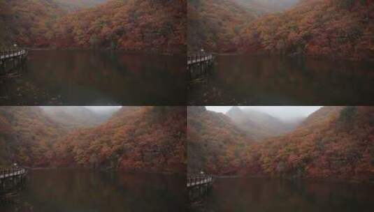 秋季景色高清在线视频素材下载