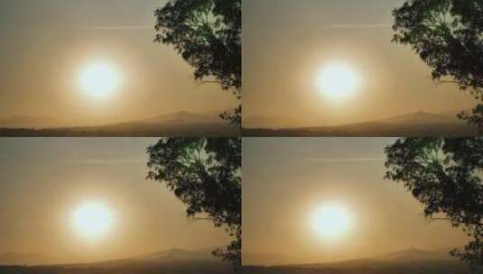 天空中的太阳和一棵树的剪影高清在线视频素材下载