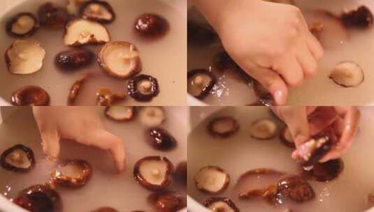 清水浸泡清洗香菇高清在线视频素材下载