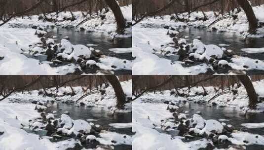 冬季吉林通化吊水壶瀑布风景高清在线视频素材下载