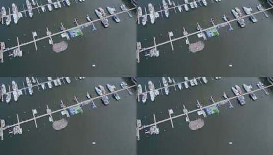4k无人机航拍深圳南山太子湾游艇景观高清在线视频素材下载
