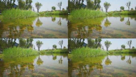 4K高清实拍昆明池湿地公园湖面倒映高清在线视频素材下载
