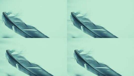 漂浮在水面上的羽毛高清在线视频素材下载