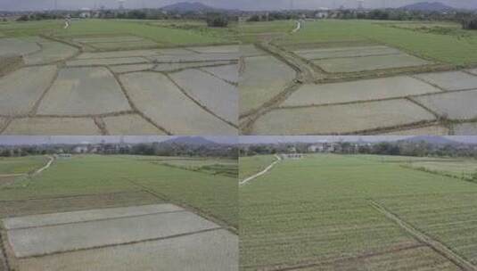 田园 田野 农田 农村 农地 耕种高清在线视频素材下载