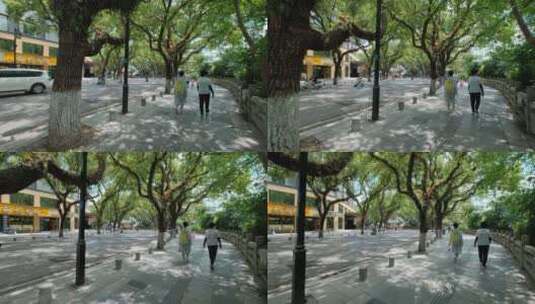 广西桂林城市道路绿树成荫的老城区街道街景高清在线视频素材下载
